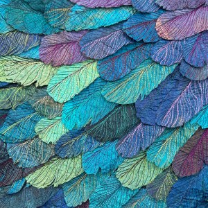 Detail of Starling by Heather Evans