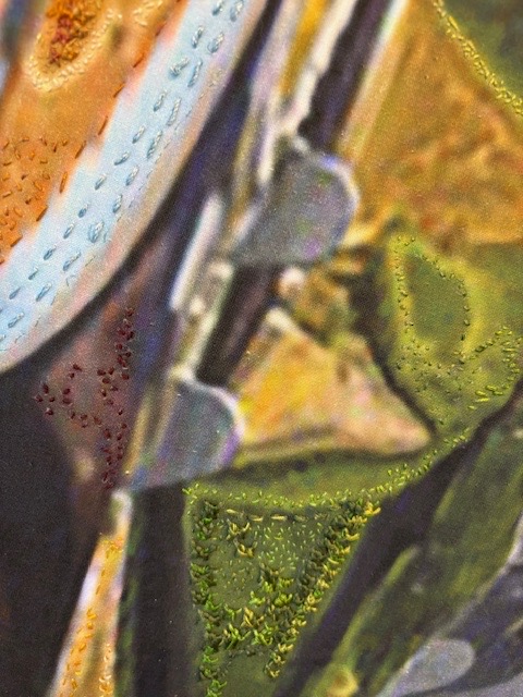 Garden by Phillip Rees