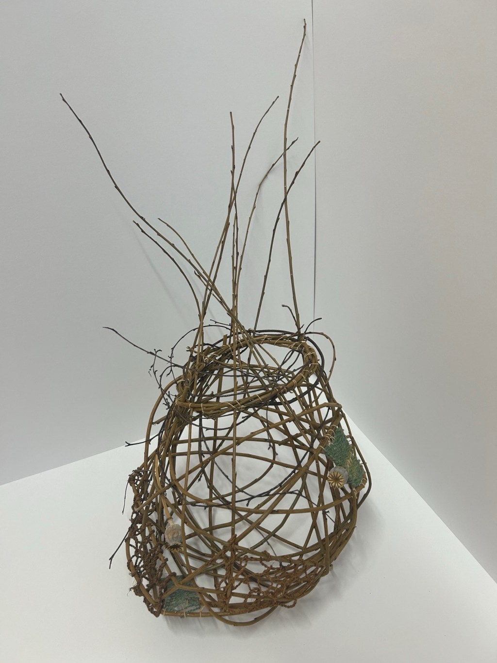 Winter Husk 
by Nicola Wayman 

Exhibition ‘Nature in&nbsp;Mind’