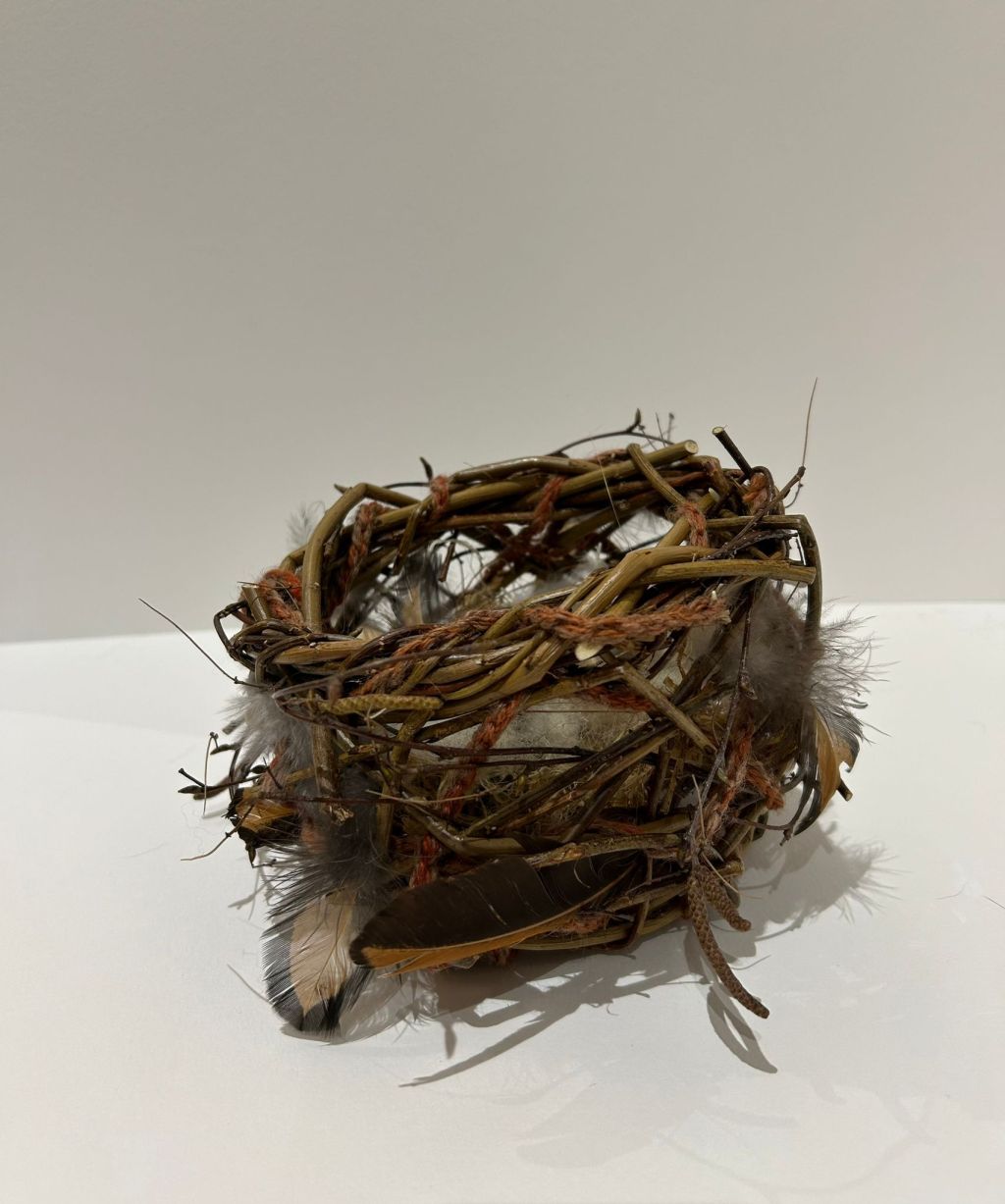 Nature Speak
by Nicola Whayman